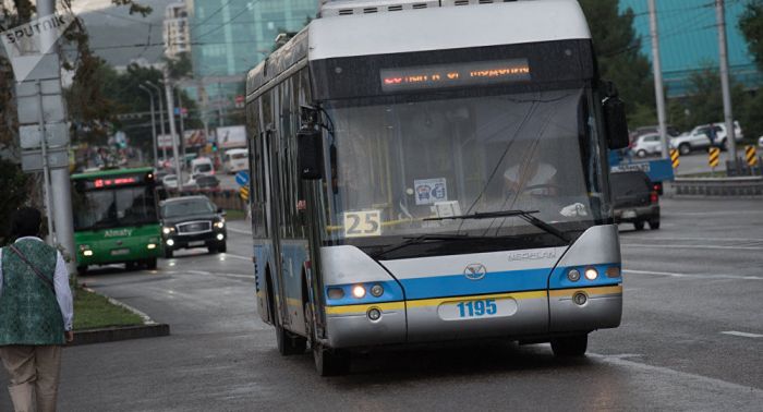 Назарбаев Алматыға көшіп келушілерге жер беруді тапсырды