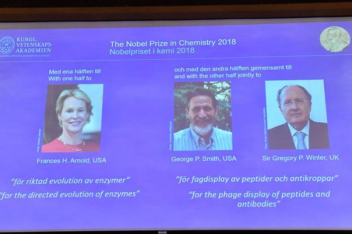 ​Химиядан Нобель сыйлығы «эволюция күшін меңгерген» ғалымдарға бұйырды 