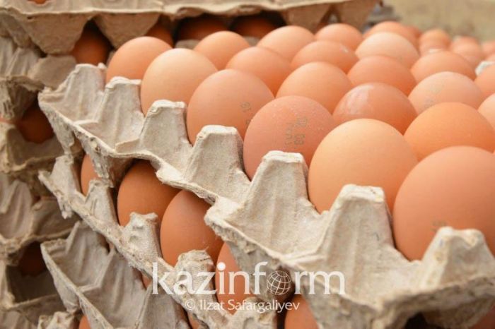 ​Қырғызстанның құс еті мен жұмыртқаға шектеу енгізгені заңсыз - АШМ