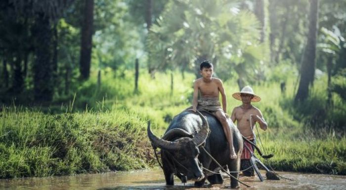 ​Қазақстандықтарға екі ай бойы Тайландқа виза тегін беріледі