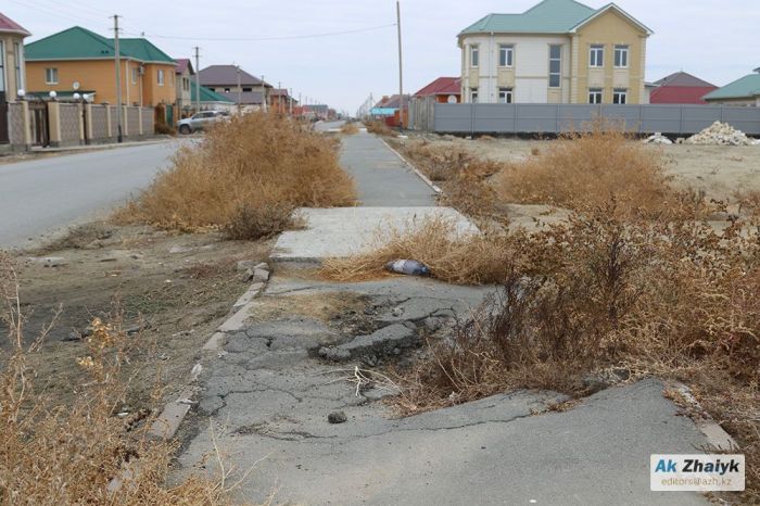 «Біздің кінәмізден бүлінбесе де, жаяужолдарды қалпына келтіреміз»