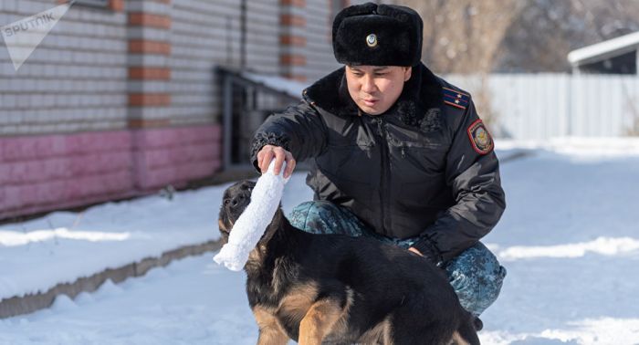 Қазақстандық шекарашылар Ресейде іздеуде жүрген қылмыскерді ұстады