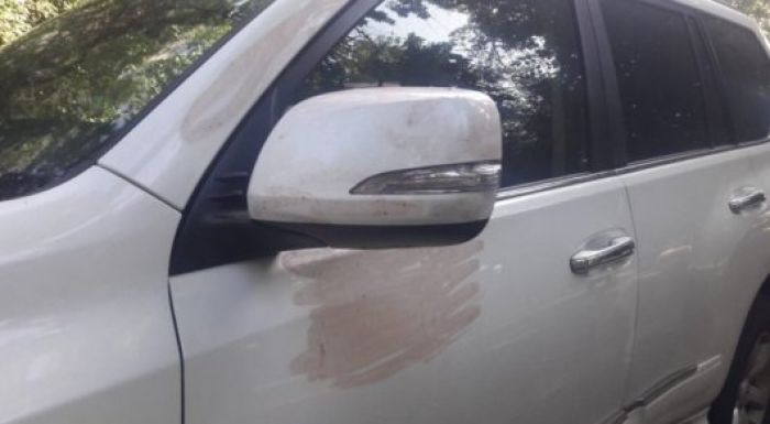 ​Жай көлік айнасын ұрлау екеніне сенбедім - Денис Теннің анасы