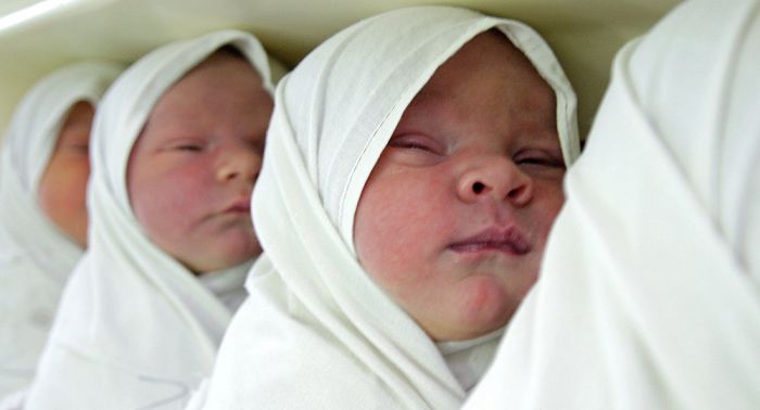 Түркістан облысында бесем туды деген ақпарат жалған болып шықты