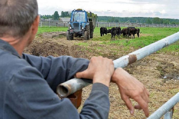 Нұрсұлтан Назарбаев ауылдарды дамытуға 90 млрд теңге бөлуді тапсырды