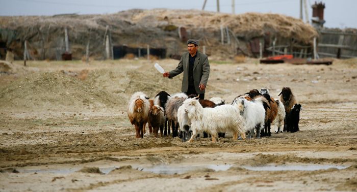 "Ел қатарлы тұруға болады": президент ауылдардың әлеуеті жайлы сөз қозғады