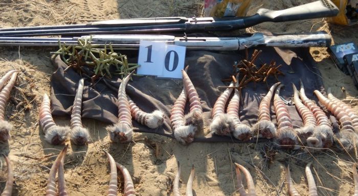 Киік ату ісі: Күдіктілер арасында "Охотзоопром" инспекторы бар болып шықты