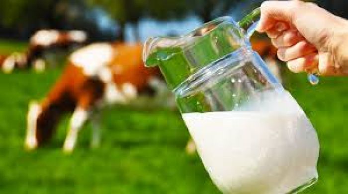 ​Қазақстан Жаңа Зеландиямен ортақ келісімге келді 