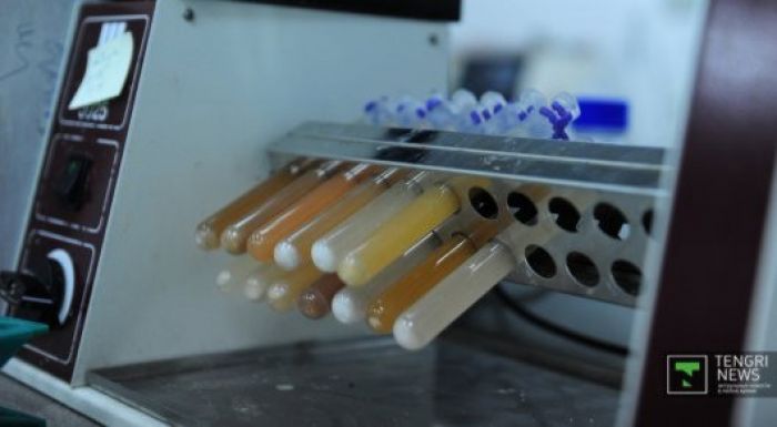 ​Допингке қарсы орталық тағы екі спортшыны жарыстан шеттетті