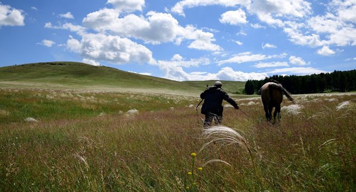 ШҚО-да жер сатылып жатыр деген әңгіме өтірік боп шықты  