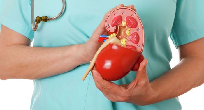 Қазақстанда украиналықтардың ағза мүшелері заңсыз сатылды: дәрігер ұсталды