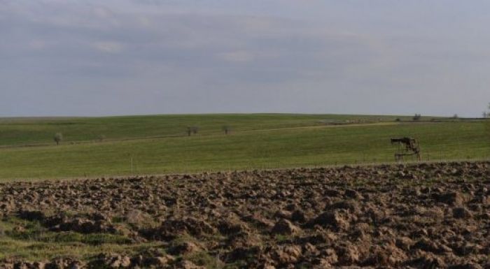 Жер шетелдіктерге сатылмайды – Тоқаев