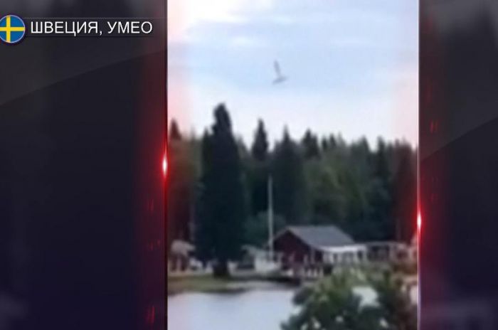 Швециядағы әуе апаты: 8 парашютист пен ұшқыштың құлаған сәті желіде жарияланды