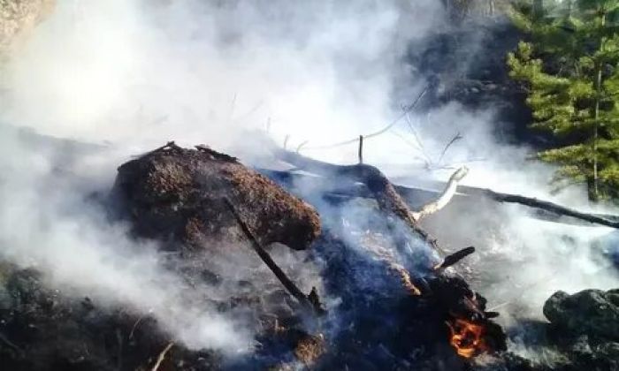 Баянауыл ұлттық паркі отқа оранды