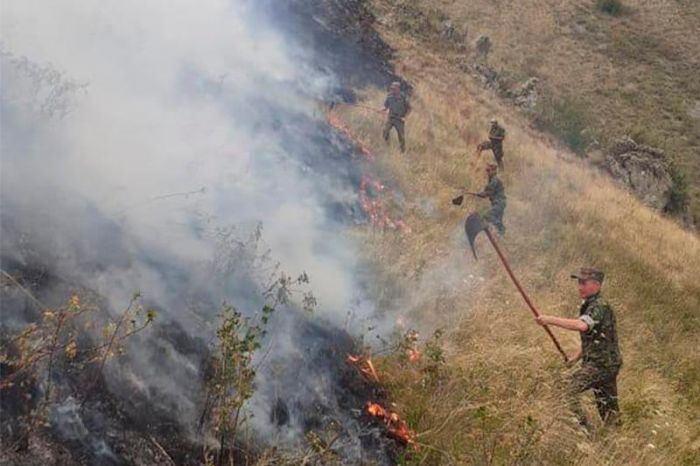 Алматы облысындағы дала өрті: 3 адам қаза тауып, 7 адамды күйік шалды 