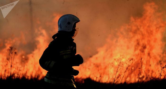 Алматы облысында дала өрті кезінде қаза болғандар наградаға ұсынылады  