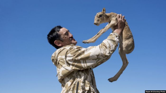 Қаза тапқан қорықшы Нұрғалиевтің ісі сотқа жіберілді