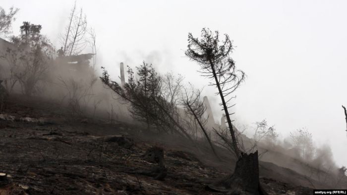 Қарқаралыдағы өрт аумағы бес есе ұлғайды