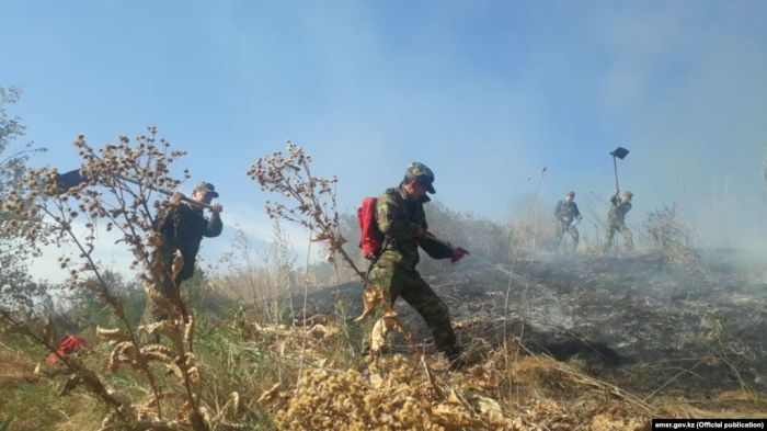 ​  Теміртауда жүздеген саяжай өртенді, өрт шығыны есептеліп жатыр