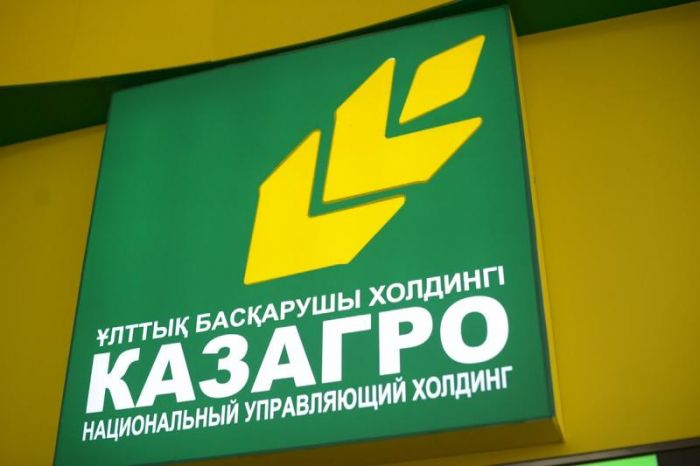 «ҚазАгро» холдингі «Бермуд үштағаны» сияқты болып тұр - Нұрлан Нығматулин 