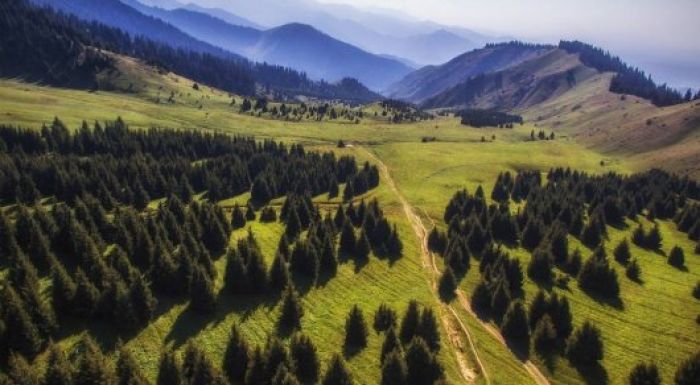 ​БҰҰ Көк-Жайлауға тыйым салу туралы пікір білдірді