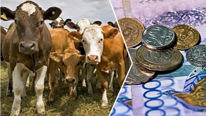 Фермерлерге субсидия бойынша барлық қарыз ақша төленгелі жатыр