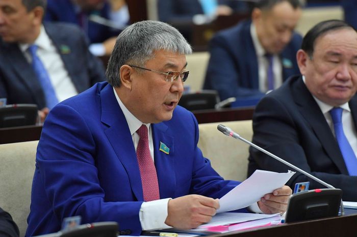 Депутат барлық қазақстандық азаматты қазақ тілін білуге міндеттеуді ұсынды