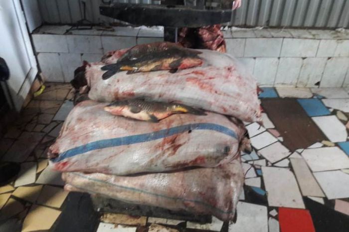 БҚО-да 1 тоннадан астам балықты заңсыз тасымалдағандар ұсталды