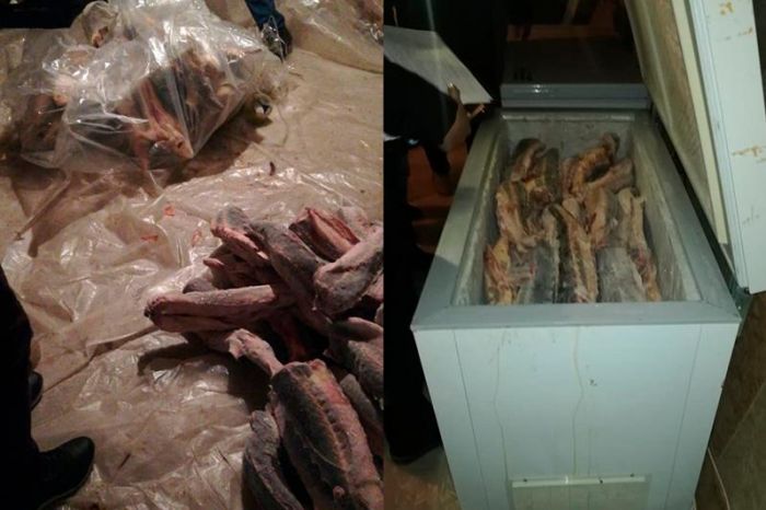 Жаңаөзенде 250 келі бекіре балығы тәркіленді 