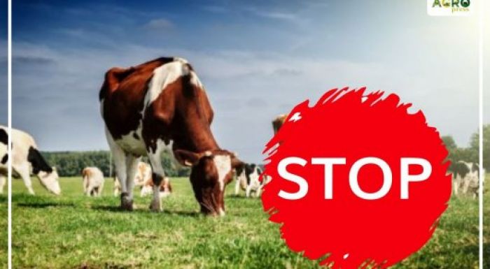 Ауыл шаруашылығы министрлігі мал экспортын тоқтатты