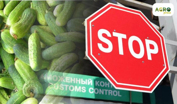 Ираннан келген қауіпті 62 тонна қияр жойылды - АШМ  