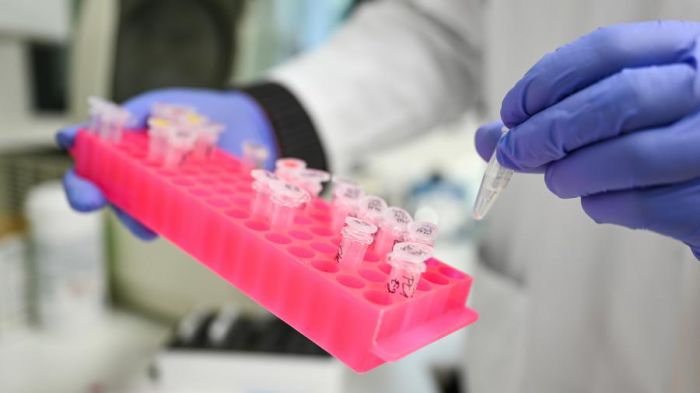 Қазақстанда коронавирусқа шалдыққан 88 науқас тіркелді