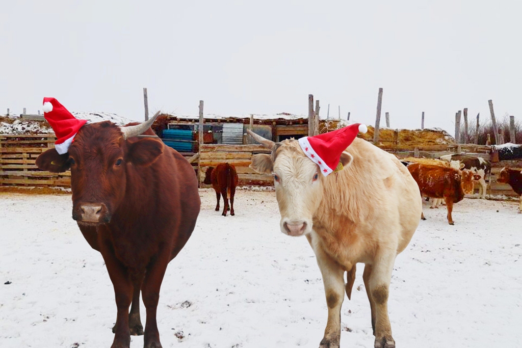 саяжайдағы жалаңаш есектер Brooke Shields жалаңаш бейне