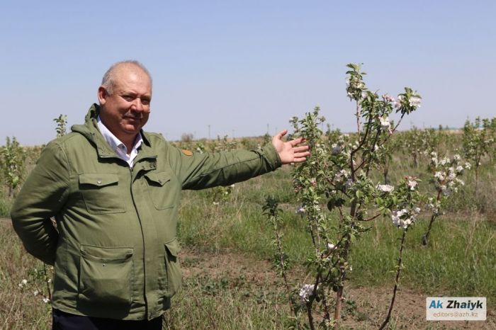 Фермер Розметов: «Өңірімізде агроном өте тапшы»