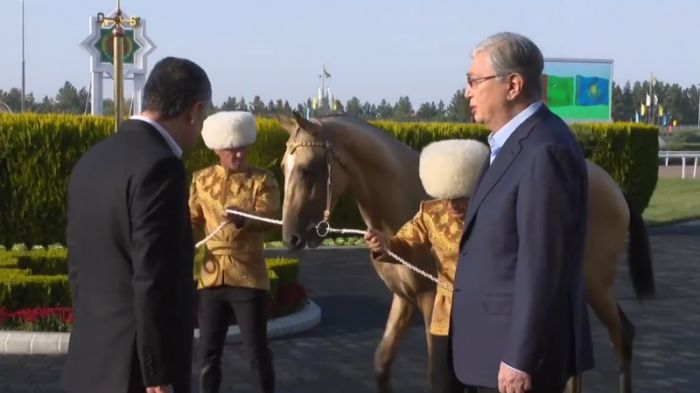 Бердімұхамедов Тоқаевқа ақалтеке мен тазы күшігін сыйға тартты