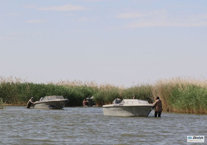 ​Балық инспекторлары әріптесінің үкімін үнсіз тыңдап шықты