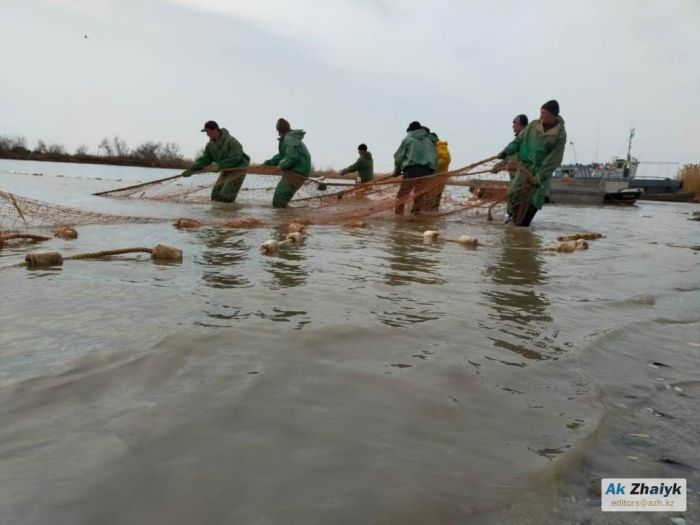 Балықшылар мен балық өсірушілер не дейді