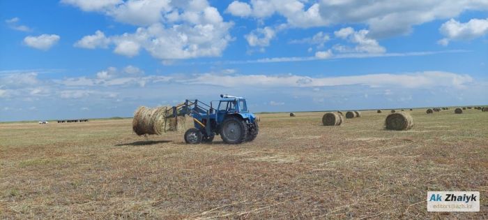 Атыраулық малшылар қысқа дайындалды