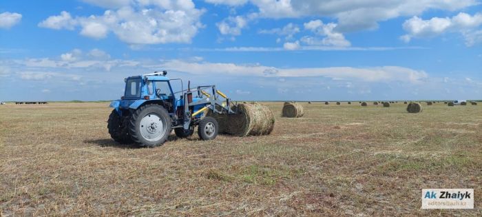 Шаруагерлер бюджеттен көбірек қолдау күтеді