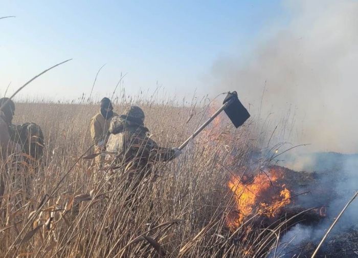 Жағалаудағы қамыс бір аптадан бері сөндіріліп жатыр