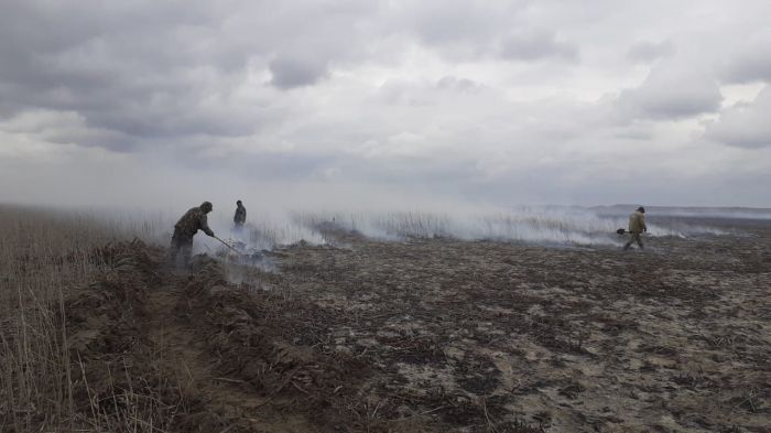 Бықсыған қамыс өрті сөндірілді