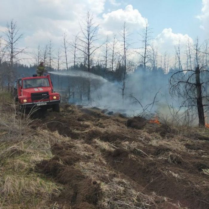 Абай облысындағы орман өрті: 300-ге жуық адам эвакуацияланды