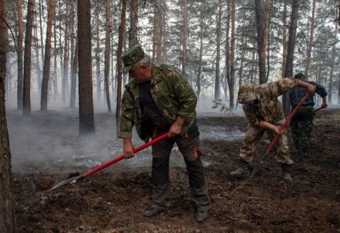 1 шілдеден бастап орманшылардың айлығы өседі