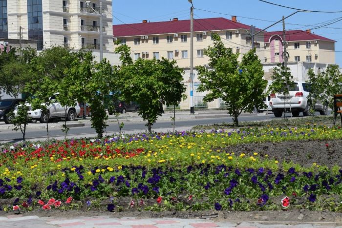 Көгалдандыру: Әкімдік НКОК-ты мақтап, ТШО-ны асықтырды