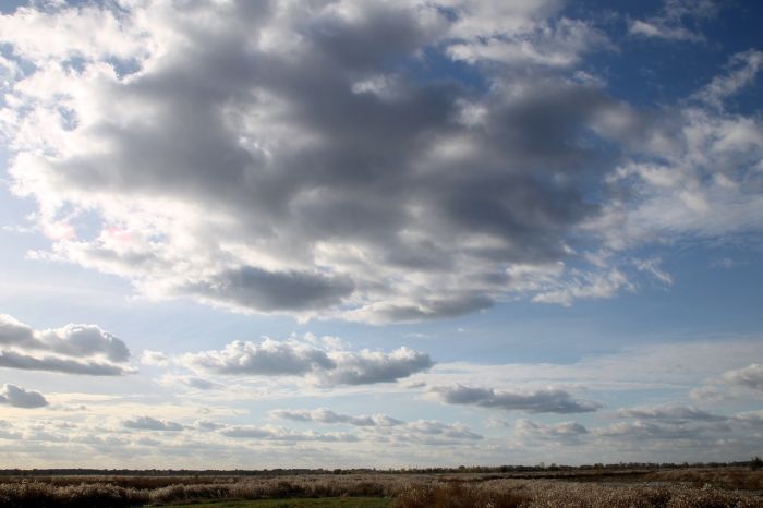 Бүгін еліміздің бірқатар өңірінде жаңбыр жаууы мүмкін