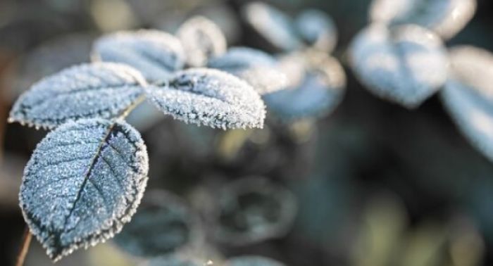 Еліміздегі бірқатар өңірде ауа-райына байланысты ескерту жарияланды