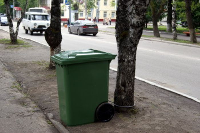 Қоқыс төгу үшін жолдан өтеміз