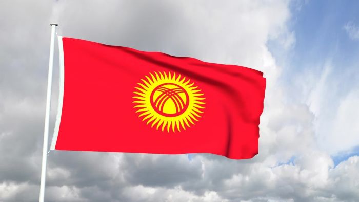Қырғызстанда мемлекеттік туды өзгерту туралы шешім қабылданды