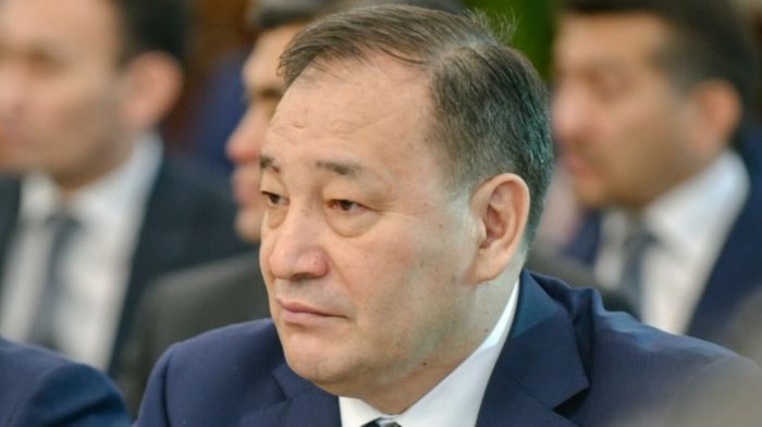 Тоғжанов Премьер-Министрдің кеңесшісі болып тағайындалды