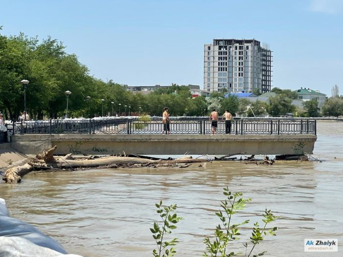 Атырау облысы Жайық өзеніндегі су деңгейінің ахуалы 